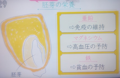 とうもろこし