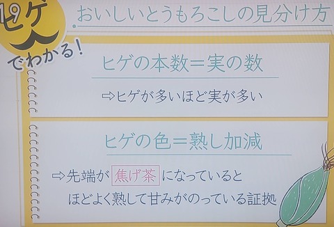 とうもろこしのヒゲ