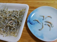 しらす