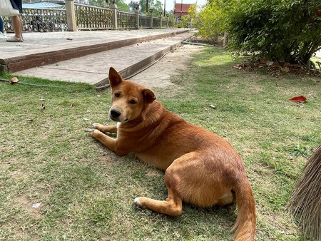 LINE_ALBUM_iPhoneならね3(20221231〜)_230115_7