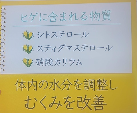 とうもころのひげ