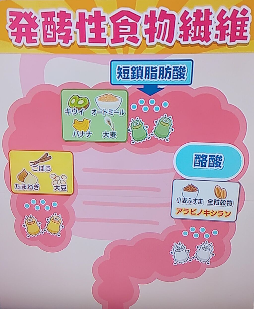 あさイチ 現代人に不足している発酵性食物繊維 腸活の新常識 ポジティブアスリート らす子のやれやれ日記