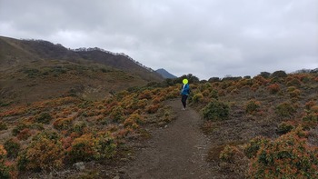 竜ヶ岳