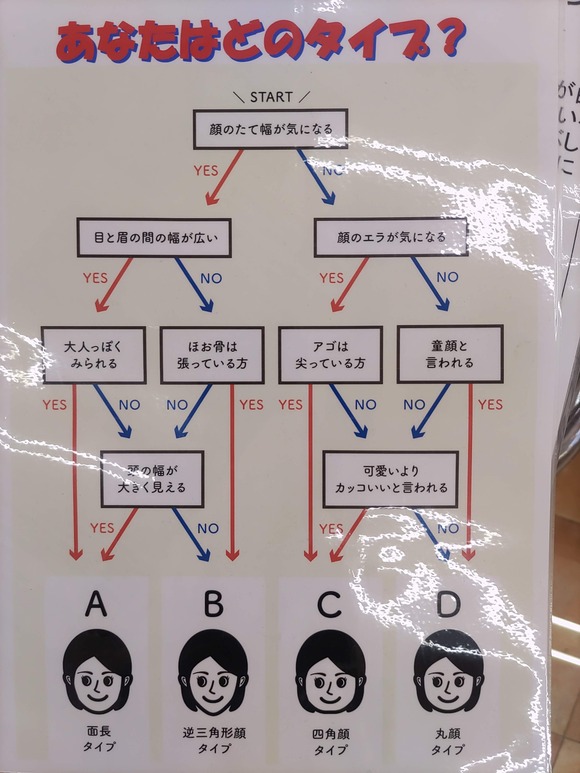 どのタイプ