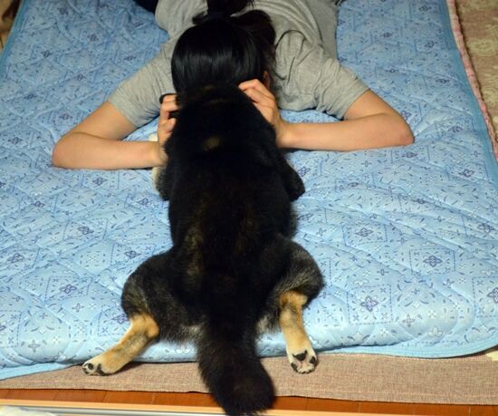 カエル足 黒柴じじの徒然日誌