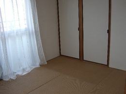 CIMG1674