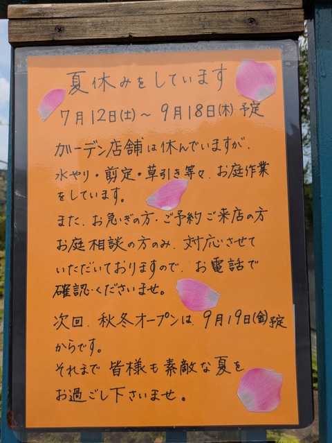 PXL_20250711_043126145