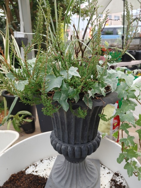 IMG00018_HDR