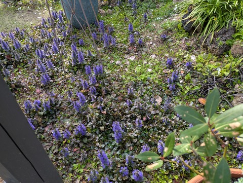 PXL_20260403_063700234