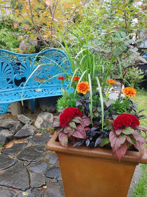 IMG00264_HDR