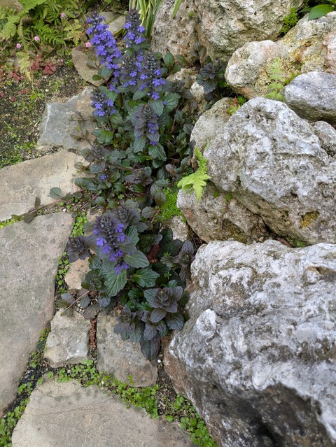 PXL_20260403_063828689