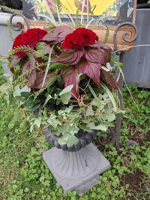 IMG00166_HDR