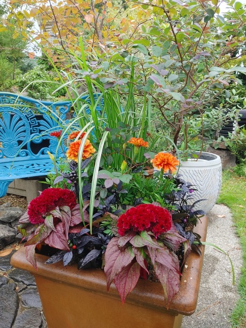 IMG00220_HDR