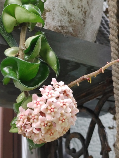 IMG00049