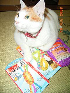 葉月:ママ、どうしたの?ロトでも当たった?
