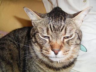 まさかこの毛を金髪にするつもりじゃないだろうね