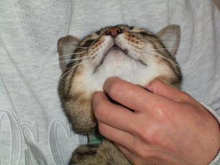 満腹の胃にボクが重いでしょ