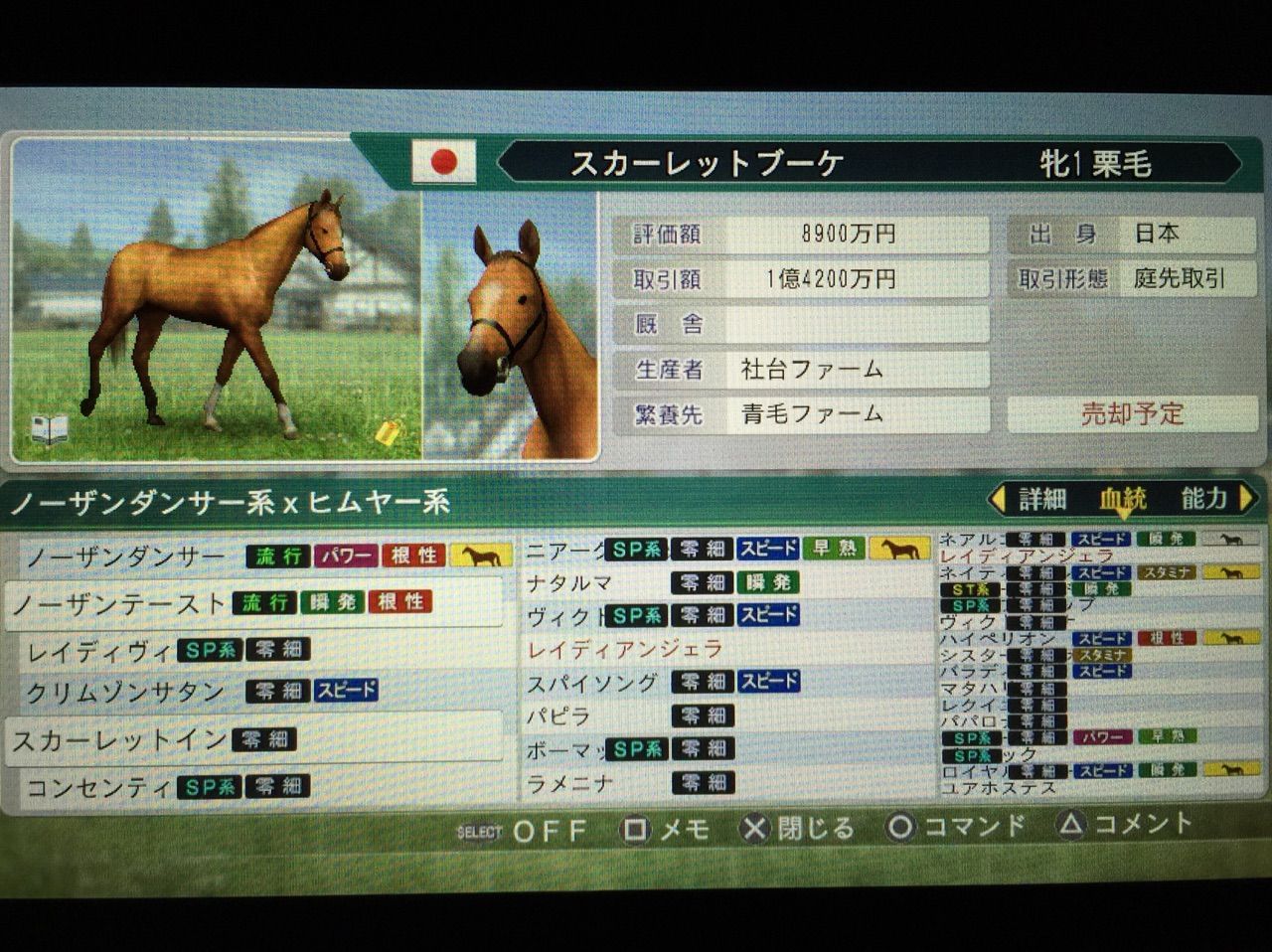 青毛牧場 ウイニングポスト8 青毛牧場 ウイニングポスト8