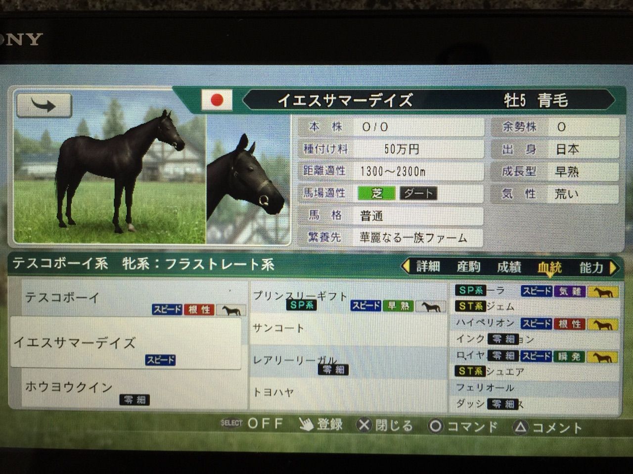 青毛日記 青毛牧場 ウイニングポスト8 青毛日記 青毛牧場 ウイニングポスト8