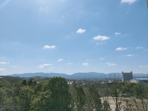 IMG20210303113823
