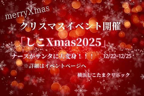 クリスマス媒体用