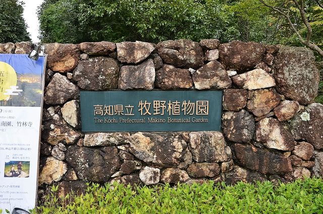 高知旅ログ まるで森の結婚式場 牧野富太郎記念館は建築家内藤廣さんの傑作だと思う ケンチク ドボク屋ysjkのライフメモ 高知旅ログ まるで森の結婚式場 牧野富太郎記念館は建築家内藤廣さんの傑作だと思う ケンチク ドボク屋ysjkのライフメモ