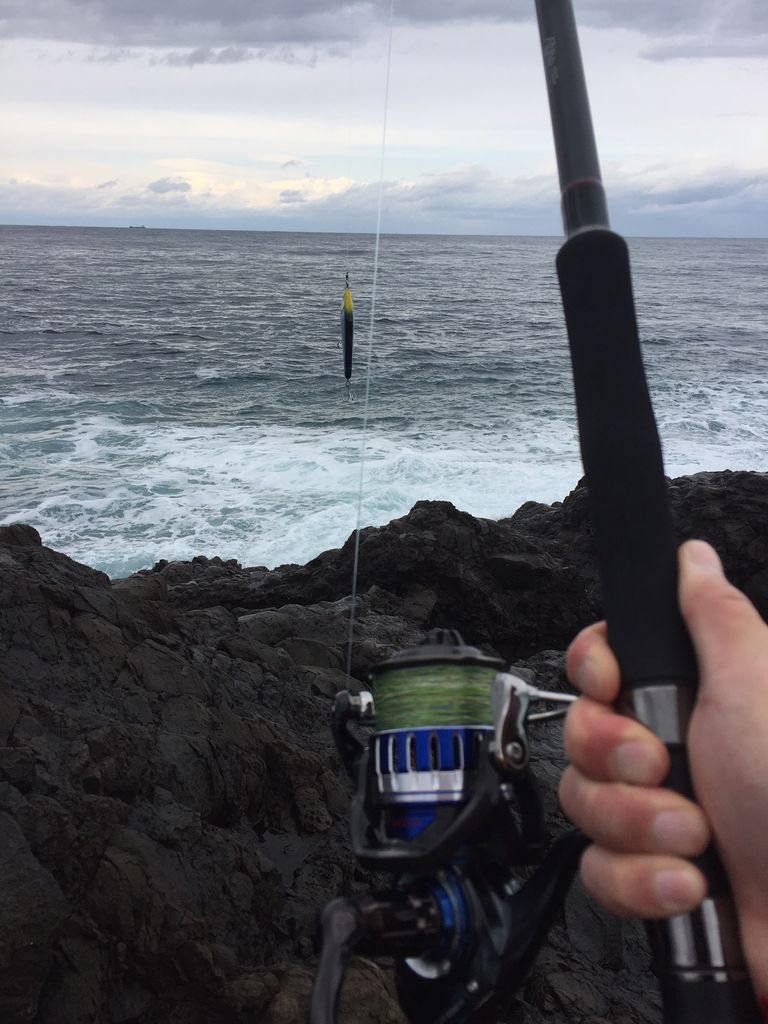 １級磯でのロックショアのちシーバス 上場企業を40歳で早期退職するワイ君の日常 仮