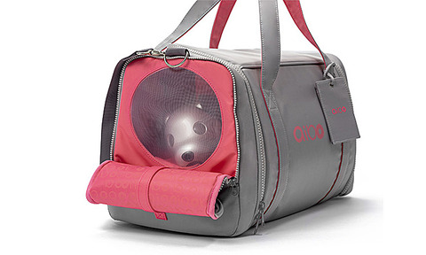 Carrybag2