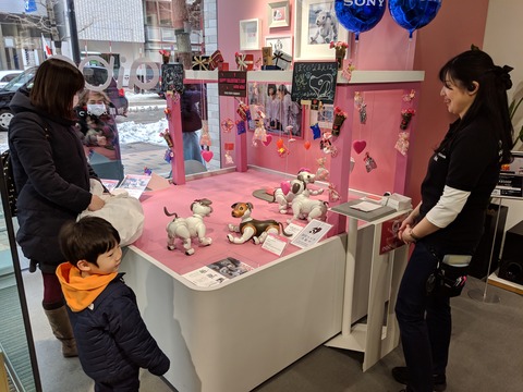 MVIMG_20190211_144952