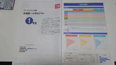 【期間限定セール】小学校一年生　算数国語問題集セット　全国小学生統一テスト対策 全国統一小学生テスト国語対策】おすすめの問題集・参考書5選