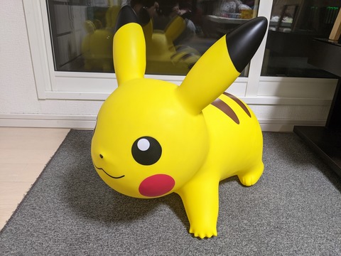 PXL_20210121_081403057