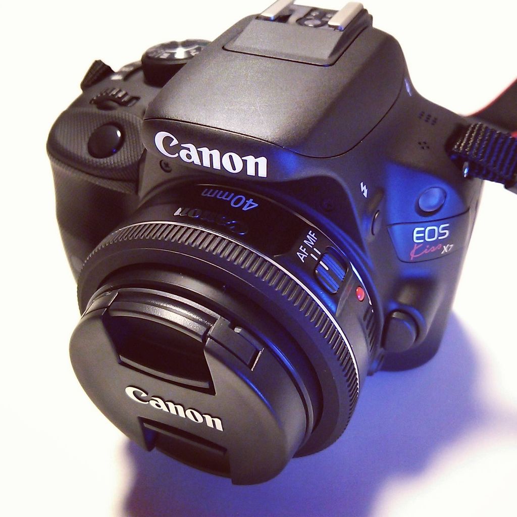 Canon EOS Kiss X9? X9i? 80D? : Polar Bear's Blog