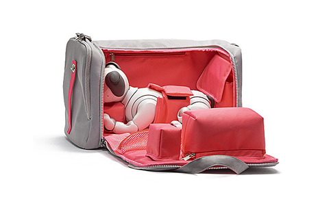 Carrybag1