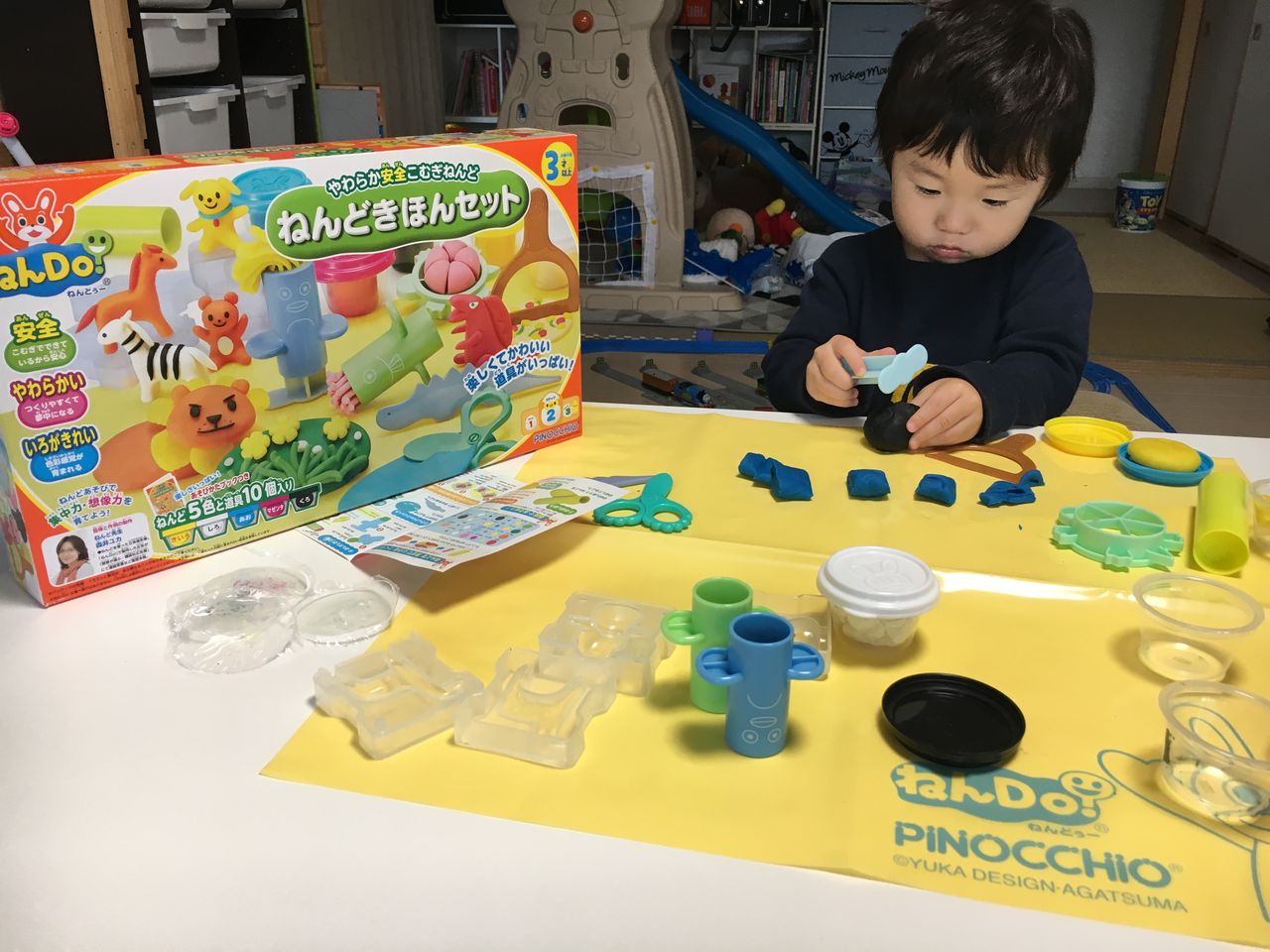 ねんdo きほんセット Polar Bear S Blog