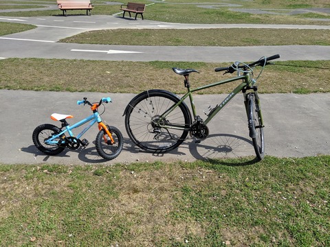 MVIMG_20190420_094252