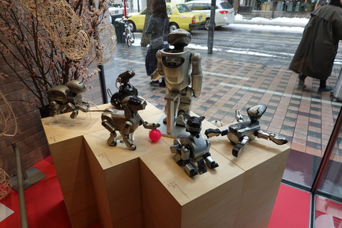 DSC03078