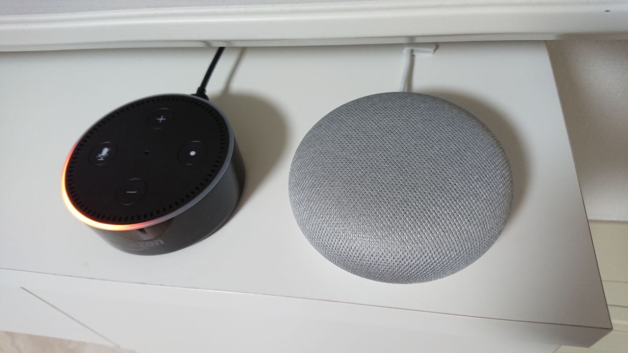 Google か Amazon か Polar Bear S Blog
