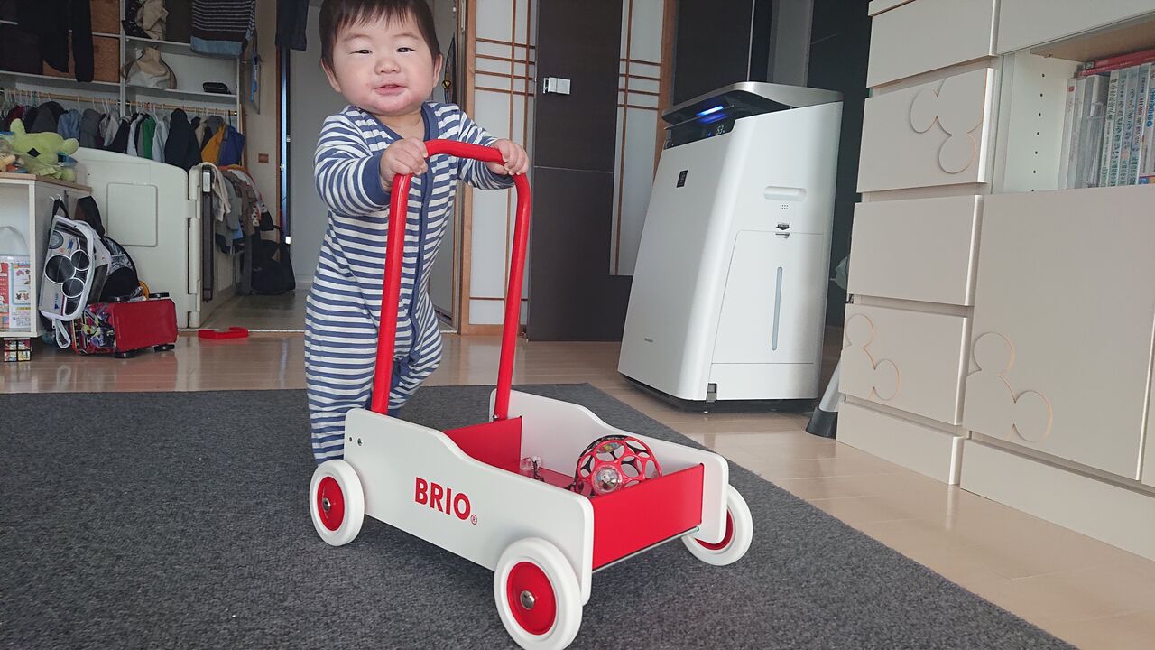 Brio 手押し車 Stayhome Polar Bear S Blog