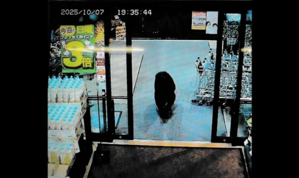 スクリーンショット 2025-11-14 155734