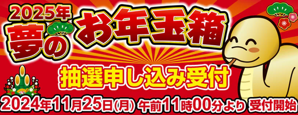 スクリーンショット 2024-11-26 042614