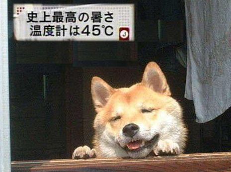45a2c709