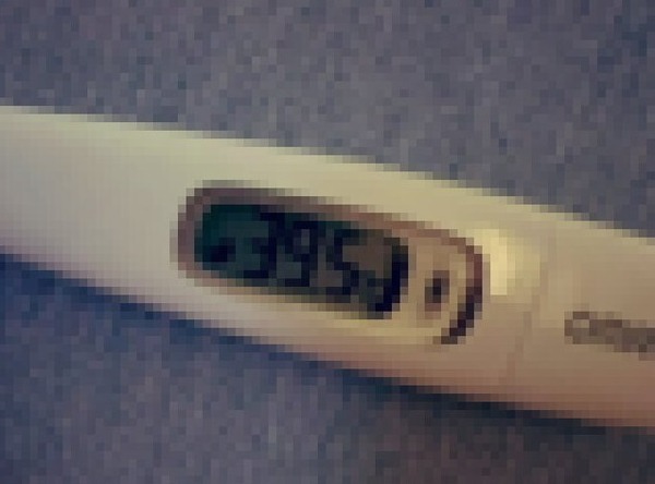 4MN8eKEJju3rrjr1702406526_1702406532