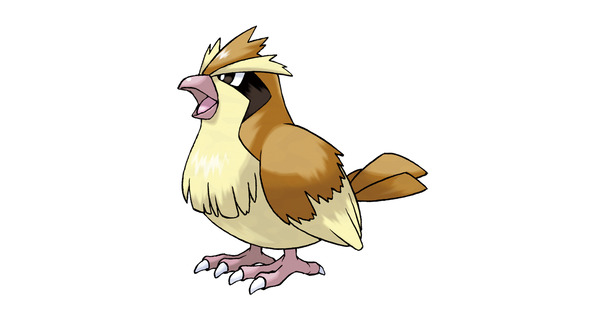 cd75495e1bf1d8449084b598d9e8a109