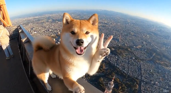 スクリーンショット 2025-08-14 140655