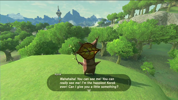 zelda-breath-of-the-wild-korok-ibasyo-4