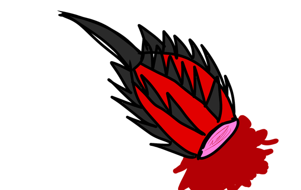 no title