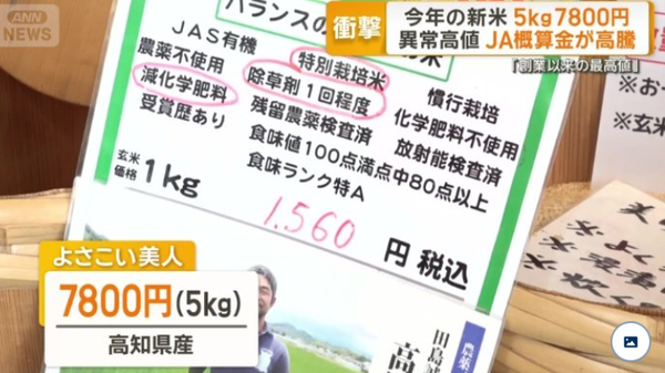 スクリーンショット 2025-08-18 020924