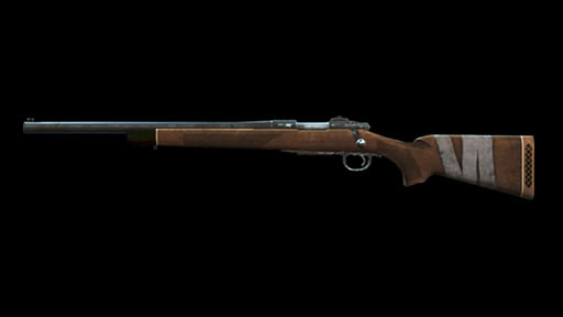 Rifles_09_Hunting_rifle