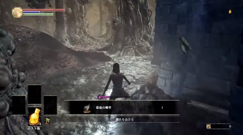 fdaaa0d6d72820c5 - コピー (8)