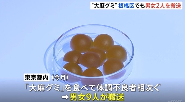 51USzVzSaoL._SL500_ (2)